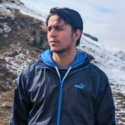 manish mehra's